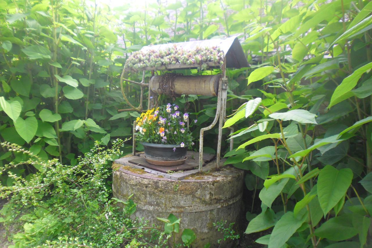 本弗葡萄园住宿加早餐旅馆 Brécy 外观 照片